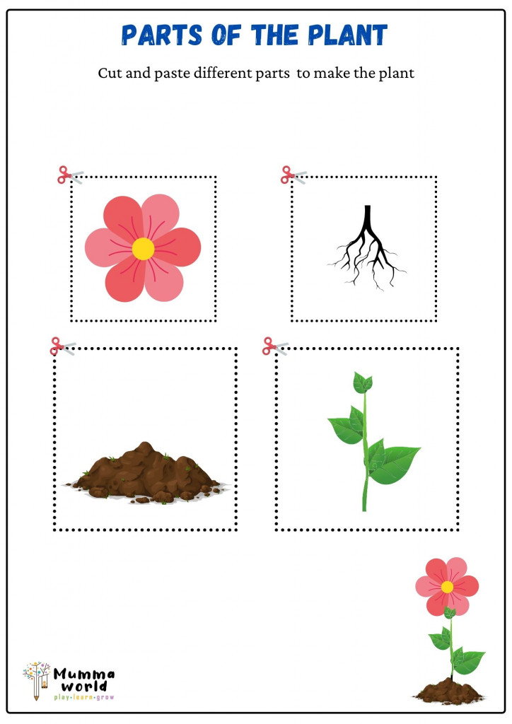 parts-of-a-plant-kindergarten-worksheet